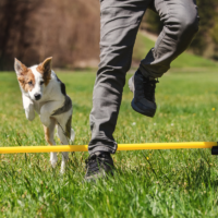 Imagen miniatura para la imagen principal del anuncio