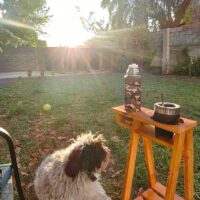 Imagen miniatura para la imagen principal del anuncio