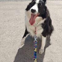 Imagen miniatura para la imagen principal del anuncio