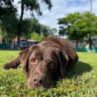 Imagen miniatura para la imagen principal del anuncio