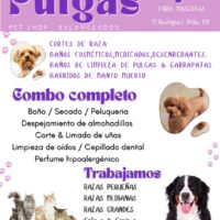 Imagen miniatura para la imagen principal del anuncio