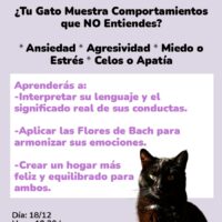 Imagen miniatura para la imagen principal del anuncio