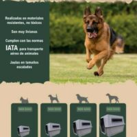 Imagen miniatura para la imagen principal del anuncio