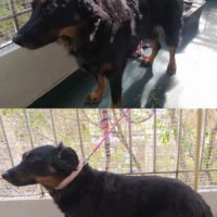 Imagen miniatura para la imagen principal del anuncio