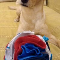 Imagen miniatura para la imagen principal del anuncio