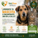 VetPaw — Guardá el historial de tu mascota gratis + Muro de mascotas perdidas