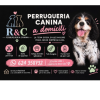 Peluquería canina a domicilio barcelona