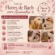 Curso de flores de Bach para animales