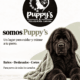 Peluquería Canina Puppy's