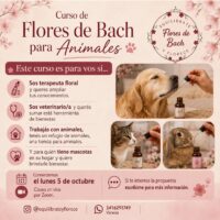 Flores de Bach para animales